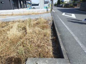 IMG_20220921_141753_1